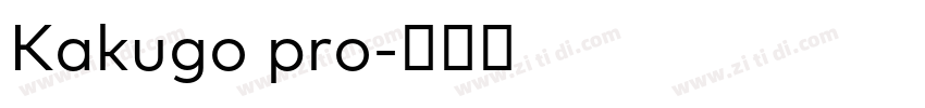 Kakugo pro字体转换